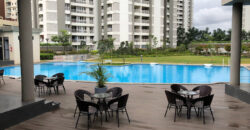 ALEMBIC URBAN FOREST