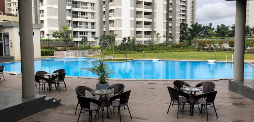 ALEMBIC URBAN FOREST