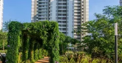 ALEMBIC URBAN FOREST