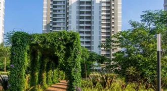 ALEMBIC URBAN FOREST