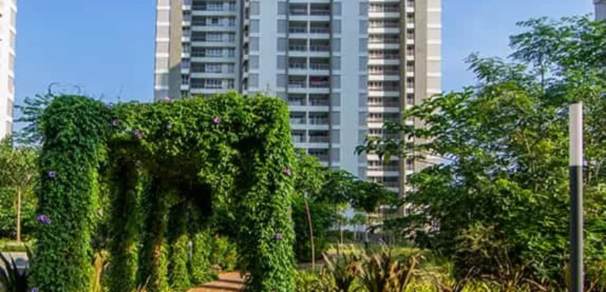 ALEMBIC URBAN FOREST